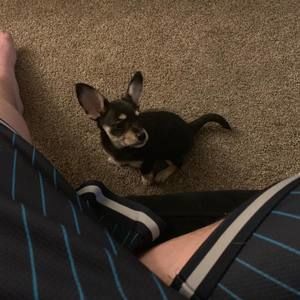 Meet your Posher, Ryan